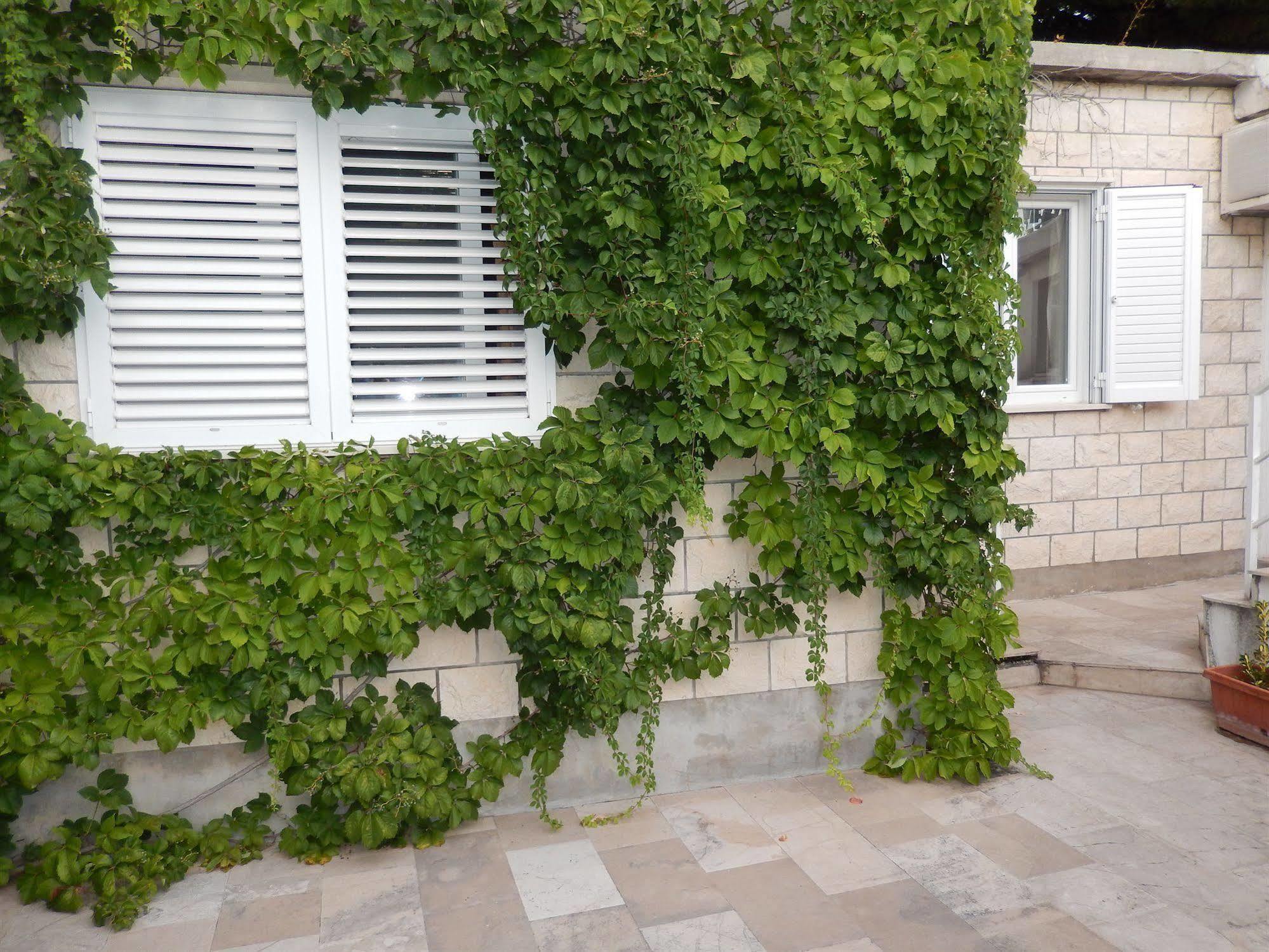 Apartman Amazing Sea View Dubrovnik